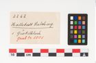 Etikett zu Bronzegürtelblech (NHMW-PRAE-002262)